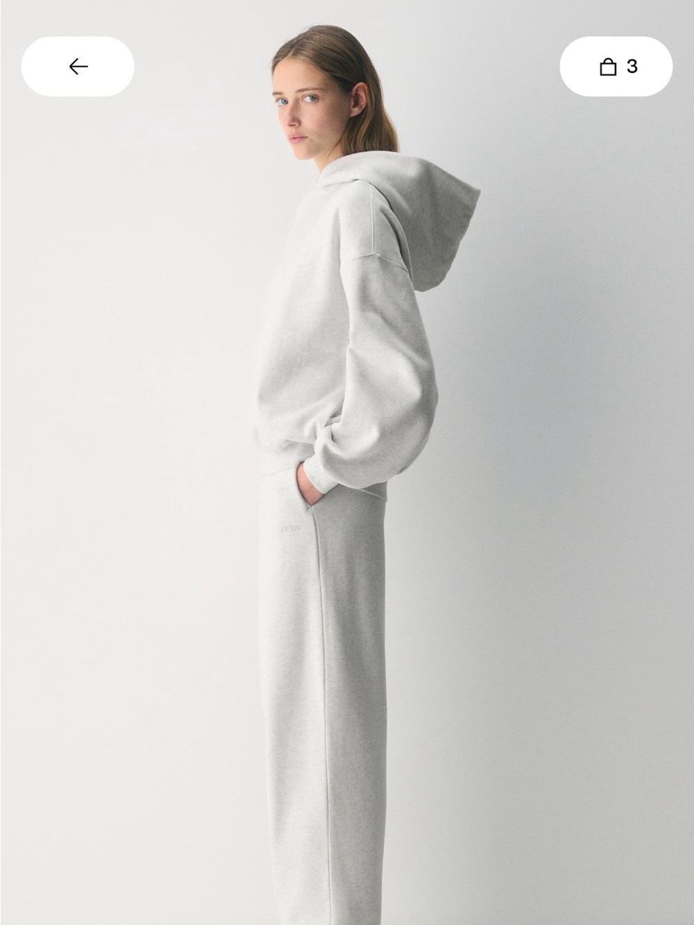 Aritzia TNA Cozy Sweatfleece Mega MATCHING SET (L Hoodie + L Jogger)